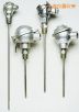 帶保護(hù)頭的工業(yè)熱電偶,型號(hào):NB系列,品牌:美國(guó)OMEGA