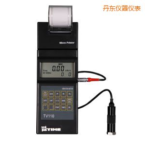 丹東時代便攜式測振儀