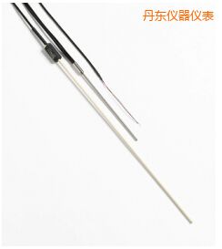 丹東R 型和 S 型標準熱電偶