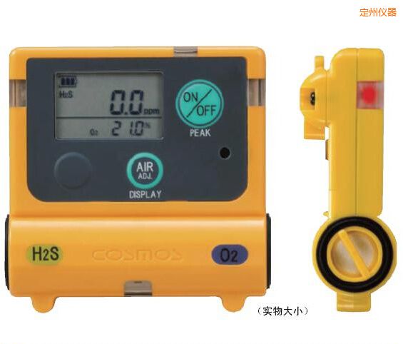 定州復合型氣體檢測器