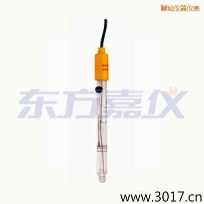 聊城可填充玻璃管電極