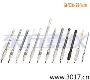 洛陽離子選擇性電極