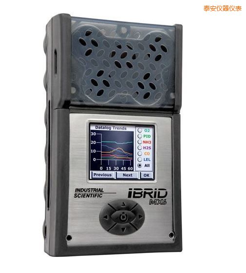 泰安復(fù)合式6氣體檢測(cè)儀