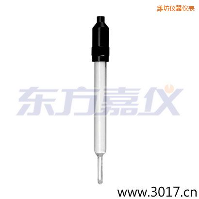 濰坊玻璃外殼無(wú)溫補(bǔ)兩線電導(dǎo)率電極