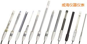 威海電導(dǎo)電極