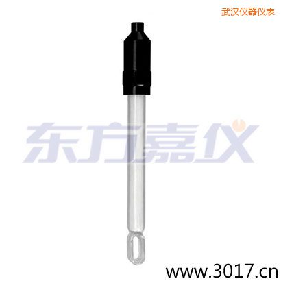 武漢玻璃外殼無溫補兩線電導(dǎo)率電極