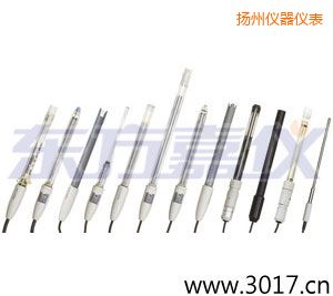 揚(yáng)州離子選擇性電極