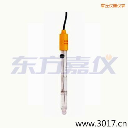 章丘可填充玻璃管電極