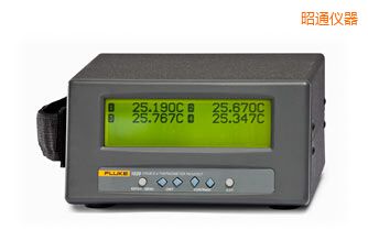 昭通四通道便攜式測(cè)溫儀