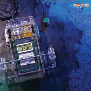 自貢水下測厚儀